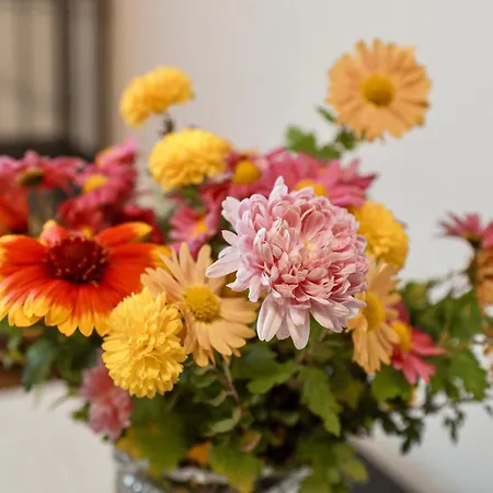 Pollux Apartamento Nesvady